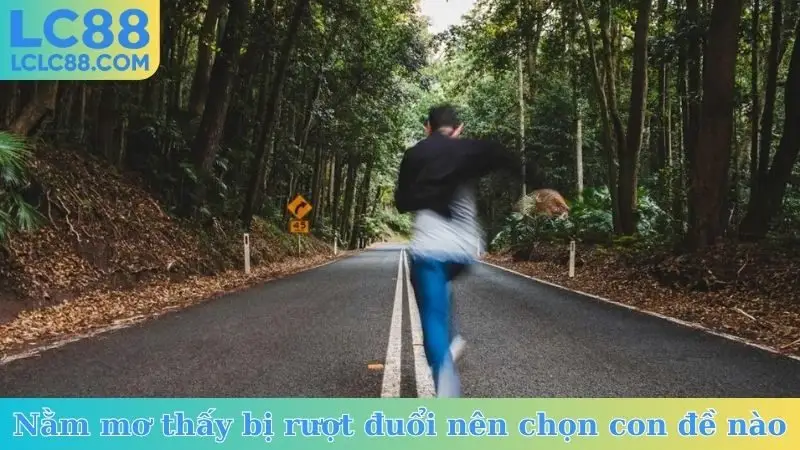 Nằm mơ thấy bị rượt đuổi nên chọn con đề nào