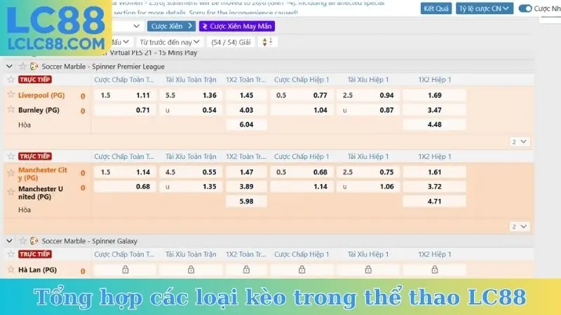 Tổng hợp các loại kèo trong thể thao LC88
